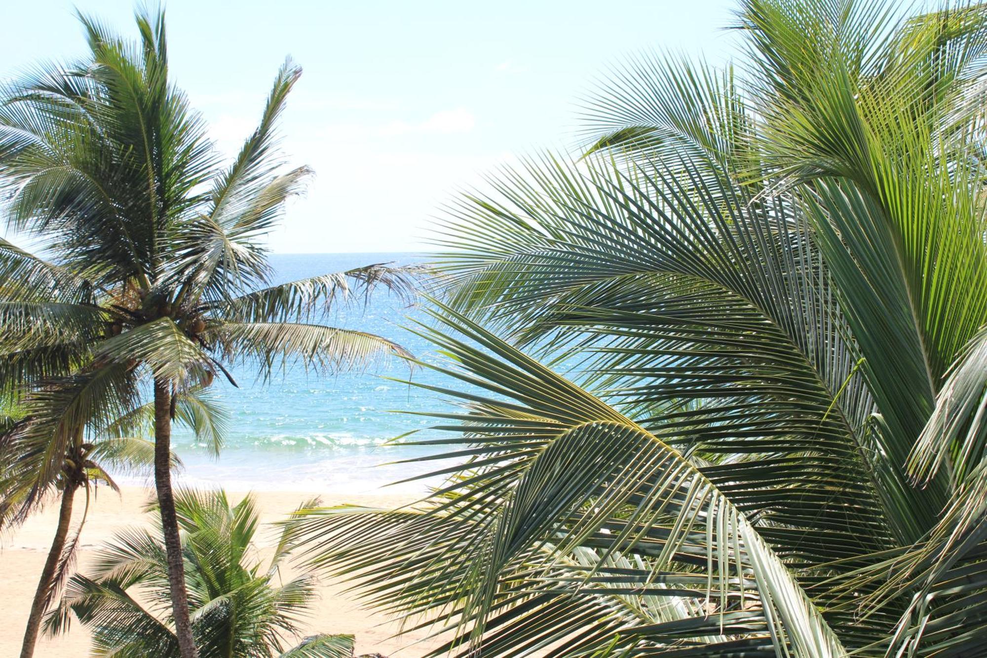 Prana Beach Hotel Ex Guli Hikkaduwa Exteriör bild